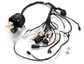 00229-E7-01 Main Wiring Harness-Road Legal (SS2.5/SS3.0/SE 2027)