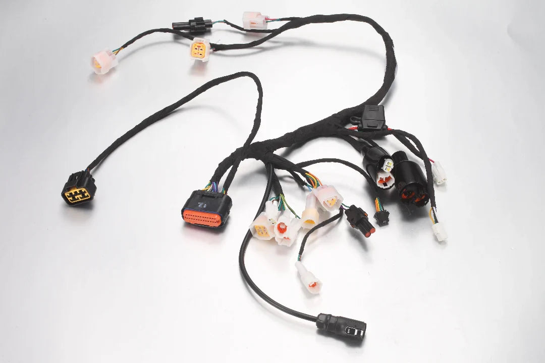 E6028 Main Wiring Harness (MINI)