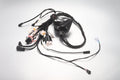 Main wiring harness - SR 