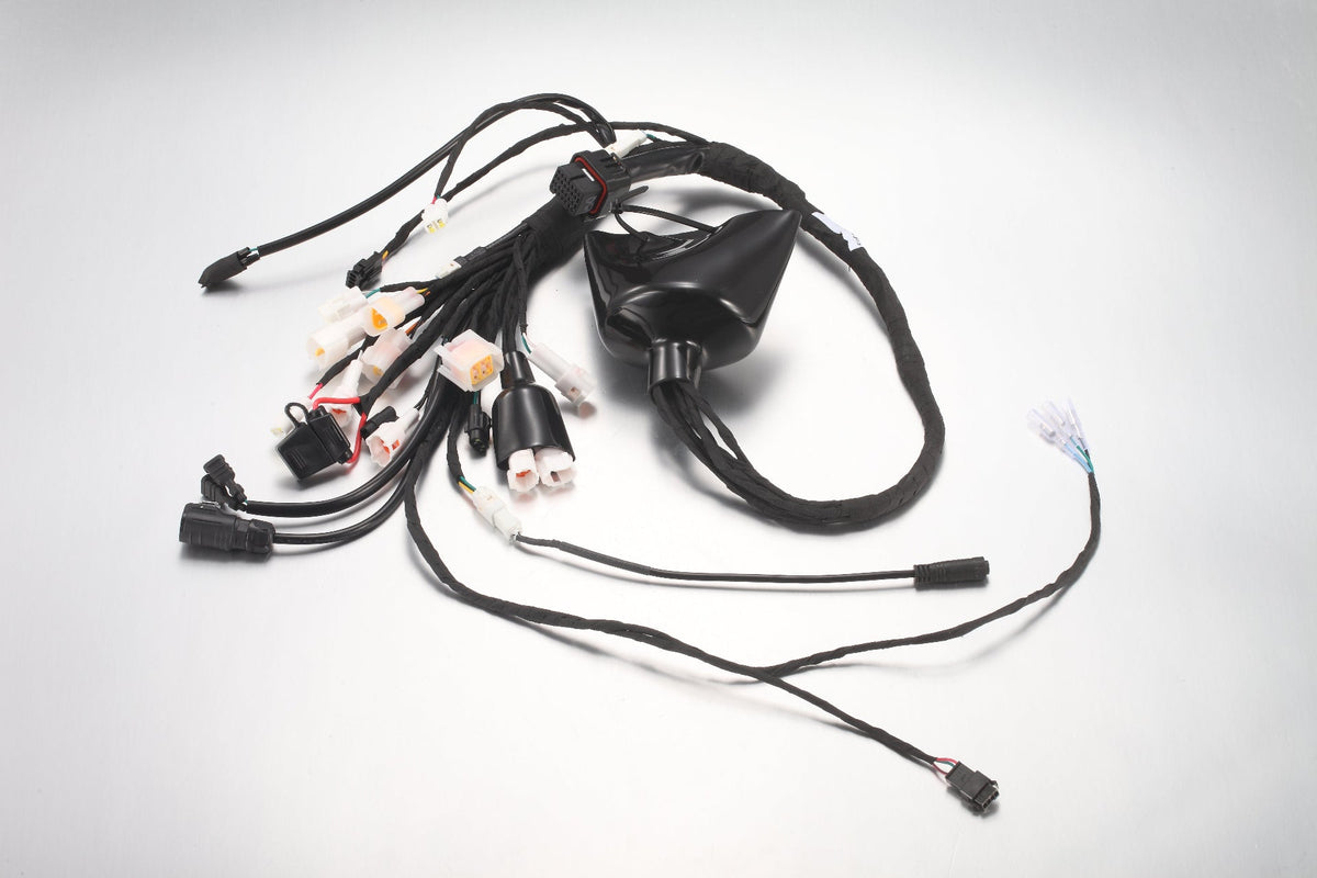 Main wiring harness - SR 